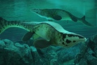Fossil discovery reveals T. rex of the sea ruled the seas over 80 million years ago.