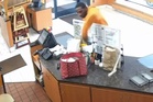DoorDash driver steals tips from woman working 14-hour double shift on Memorial Day
