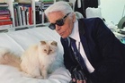 Karl Lagerfeld’s beloved cat Choupette ‘still waiting for inheritance’ seven years after designer’s death