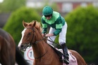 Benvenuto Cellini leads four-strong Aidan O’Brien team for Derby