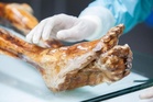 There’s something still living inside Ötzi the Iceman