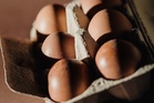 Why Sainsbury’s has decided to stop selling brown eggs