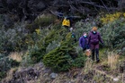 Scientists testing rodents for hantavirus in Argentina’s famous wine region of Mendoza after cruise ship outbreak