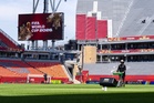 The World Cup pitches are the result of years of engineering to find just the right grass