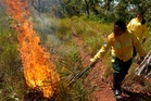 In Brazil’s Cerrado region, Indigenous fire practices reshape wildfire strategy