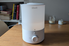 8 best humidifiers to combat dry air, congestion and irritated skin