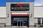 Red Lobster is offering one customer endless shrimp for 25 years - here’s how to enter
