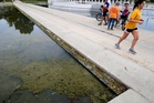 Algae in the Reflecting Pool started growing just days after Trump’s $14M renovation: report