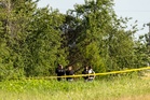 No major safety failures found in deadly Missouri skydiving plane crash, report says