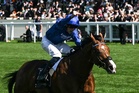 Royal Ascot champion to defend title as prestigious festival returns