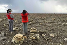 How deadly Philippines earthquake raised seabed and extended shorelines for hundreds of metres
