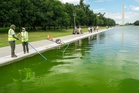 Reflecting Pool turns green days after Trump’s $14 million renovation