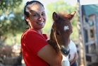 A month-old pony moves to a 4th-floor apartment in Croatia. Neighbors don't mind.