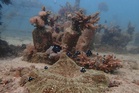 15 countries in Kenya adopt the Mombasa declaration to fight illegal fishing