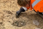 Unearthed ‘princely grave’ offers new insights into Iron Age customs