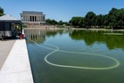 Trump mocked over DC’s algae-infested Reflecting Pool by Jimmy Kimmel
