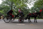 18-year-old dies after being thrown from horse-drawn carriage in Central Park