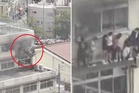 Primary school children balance on fourth-storey ledge as they wait to rescued from burning school