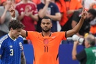 ‘It’s different, the freedom I have’: Cody Gakpo leaves behind Liverpool struggles with World Cup show