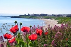 UK set to swelter in up to 38C as extreme heat warning expanded