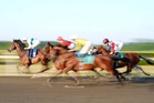 Four horse racing meetings cancelled after extreme weather warnings issued