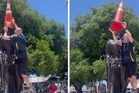Scotland fan’s cone prank cut short by Miami police after Boston backing