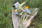 Teenage boy arrested on suspicion of murder after girl, 14, found dead