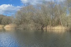 Boy, 15, missing after swimming in lake as police launch major search operation