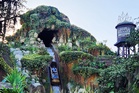 Disneyland staff rush to halt log flumes after 13-year-old climbs out and slides down 50-foot drop mid-ride, report says