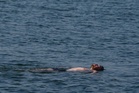 Weather warnings for whole island of Ireland as new record temperature possible