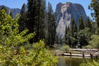 National Park Service staff ordered not to confirm deaths or injuries: report