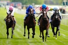 Saturday’s racing tips: Best bets and odds for Newcastle and York