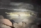 ‘We tried to save him’: Couple’s vacation turns to horror in deadly crocodile attack
