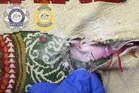 Thai airline employee arrested in Australia on suspicion of importing heroin