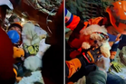 Venezuela earthquake: Dog trapped for four days under debris saved in dramatic rescue