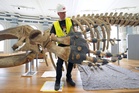 119-year-old whale skeleton returns to museum after ‘significant’ conservation