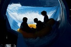 Canadian water park closes down after electrical shock incident sent 12 kids to the hospital