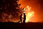 Who warns Europe faces ‘more deadly weeks’ as heatwave builds again