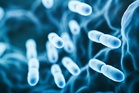 Likely source of Legionnaires’ disease outbreak in New York identified as visitors are urged to watch for symptoms