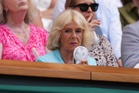 Queen Camilla watches Brit hope Arthur Fery in Wimbledon Royal Box