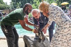 King Charles and Queen Camilla give London Zoo penguins a royal health check