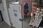 Mounjaro burglars caught stealing £1m of weight loss drug from warehouse