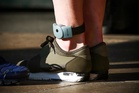 Thousands of offenders are not wearing tags, report warns