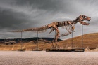 Mystery winner buys T-rex nicknamed 'Gus' for a record $50 million at auction