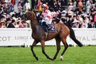 Saturday’s racing tips: Best bets and odds from Market Rasen and Newbury