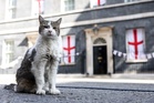 Larry the Cat welcomes yet another prime minister into No 10