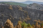 Firefighters in central Spain battle huge wildfire during heat wave