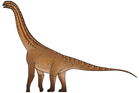 Unique Indian fossil transforms our understanding of one of most popular dinosaur groups