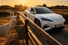 ‘Are you tired?’: I tried The BYD Sealion 7 EV and it even knows when I yawn