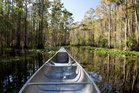The Okefenokee swamp is poised to become a World Heritage Site but some locals aren’t celebrating